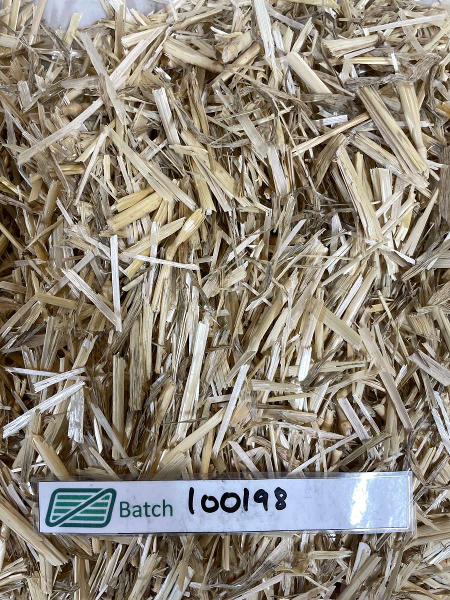 Batch 4990788000224124011 Image