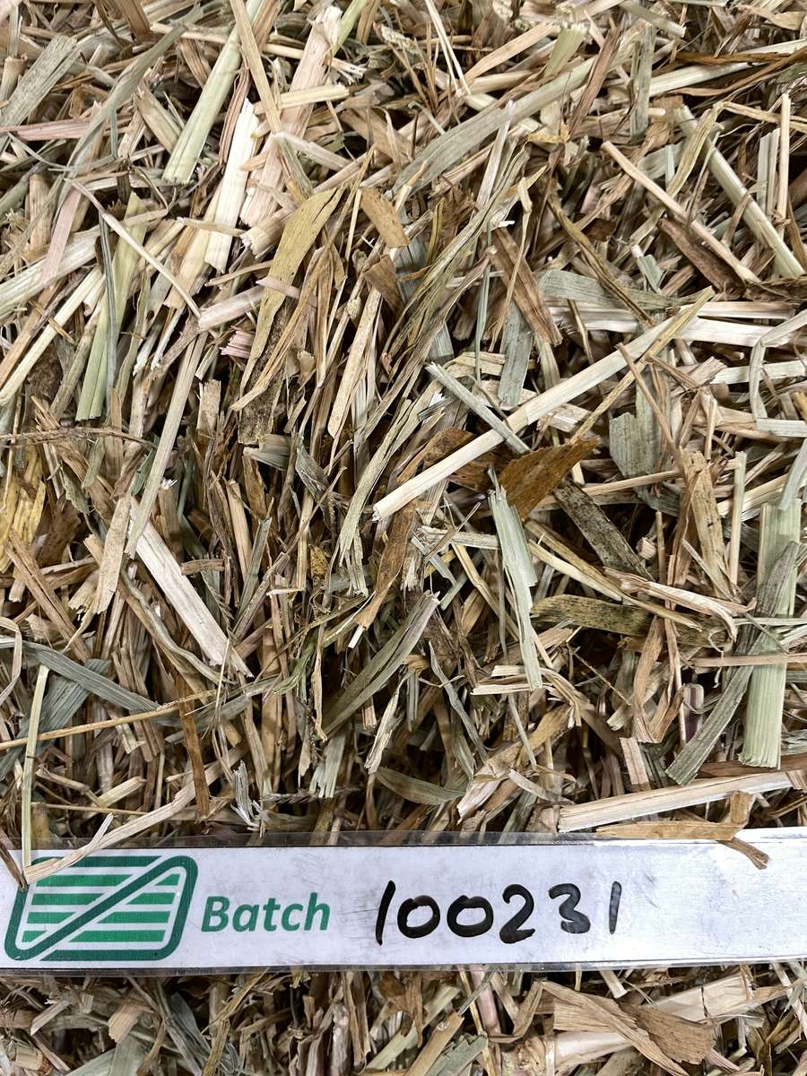 Batch 4990788000225148031 Image