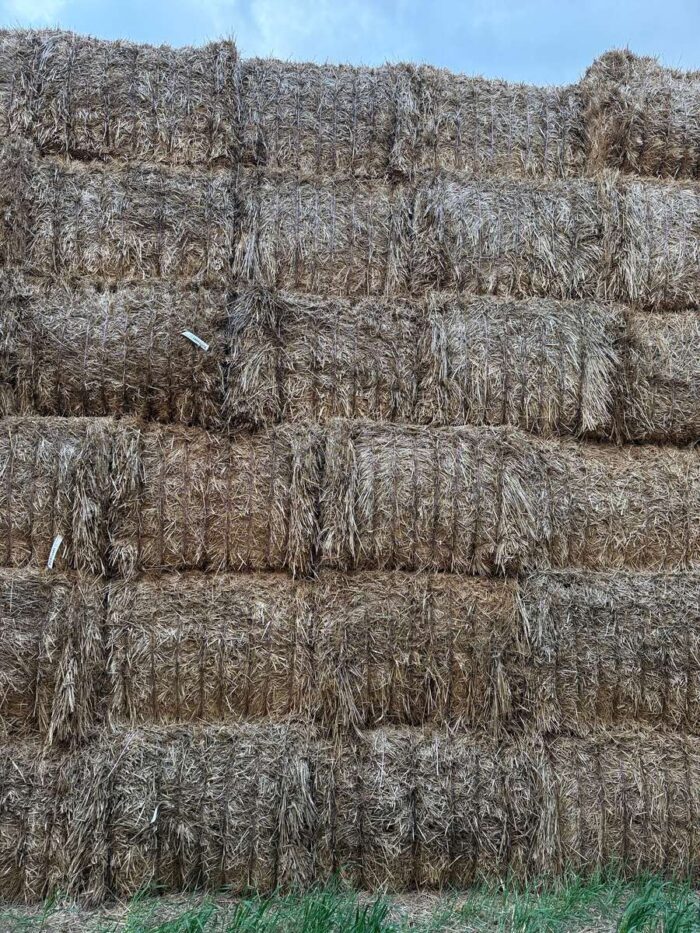 Batch 100204 Cereal Straw – Fodder Link Website