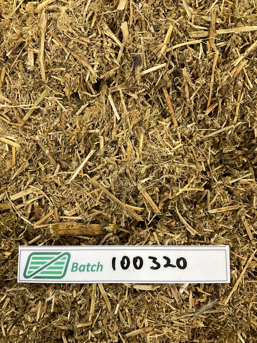 Batch 4990788000229788001 Image