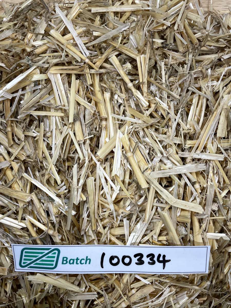 Batch 4990788000230146001 Image