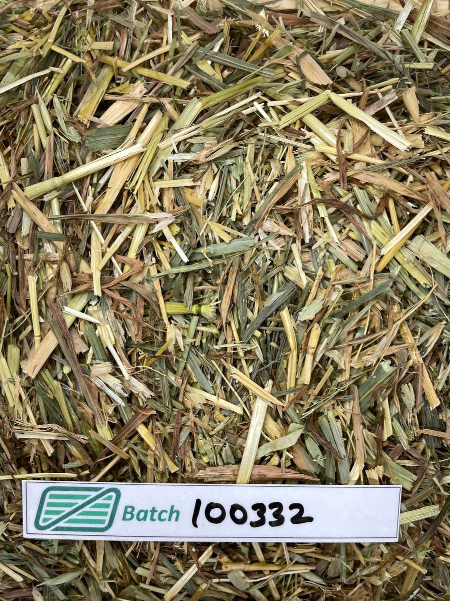 Batch 4990788000229933011 Image