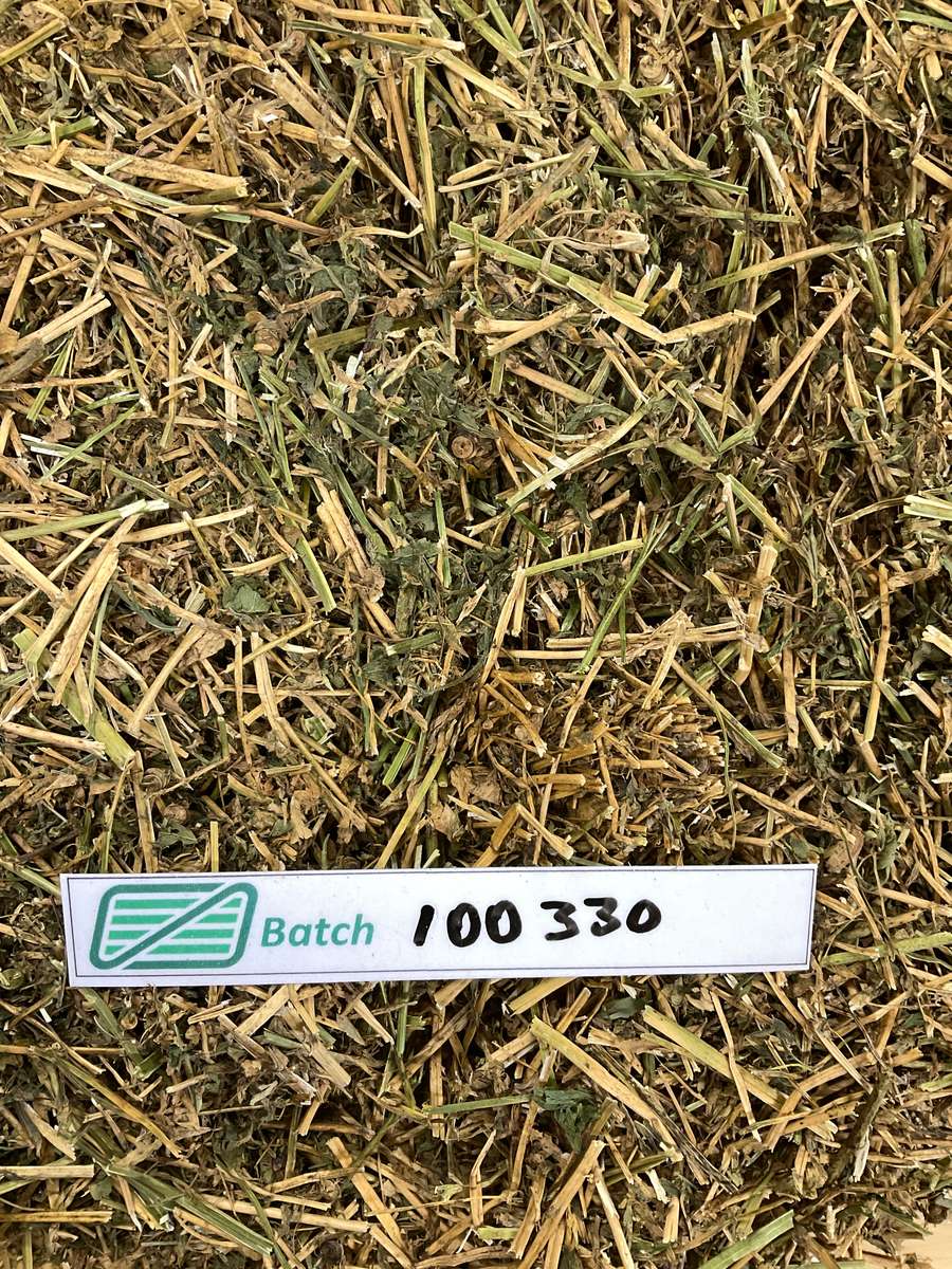 Batch 4990788000229972001 Image