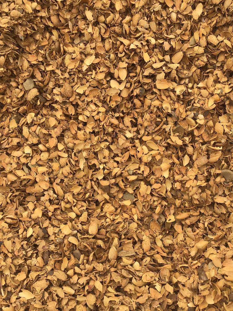 Batch 4990788000229427021 Image