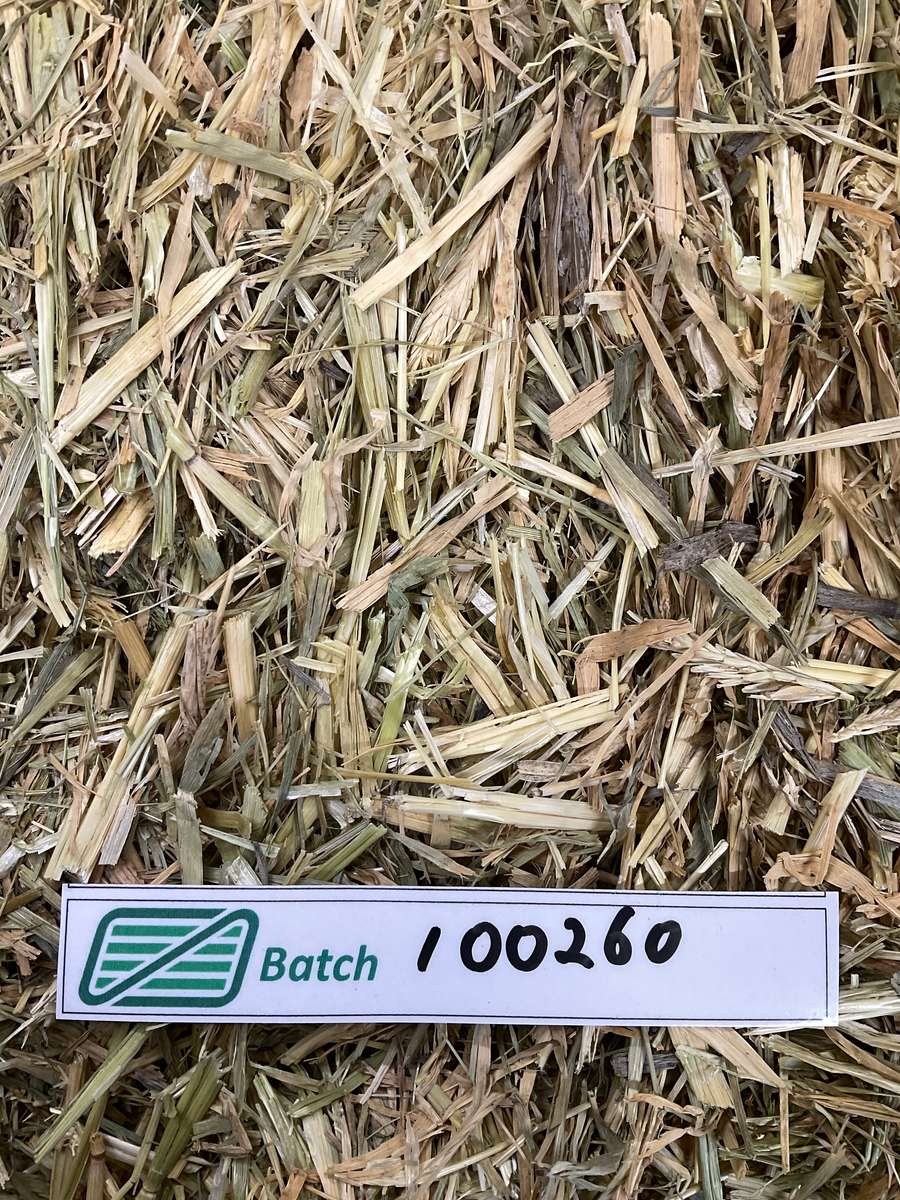 Batch 4990788000227792002 Image