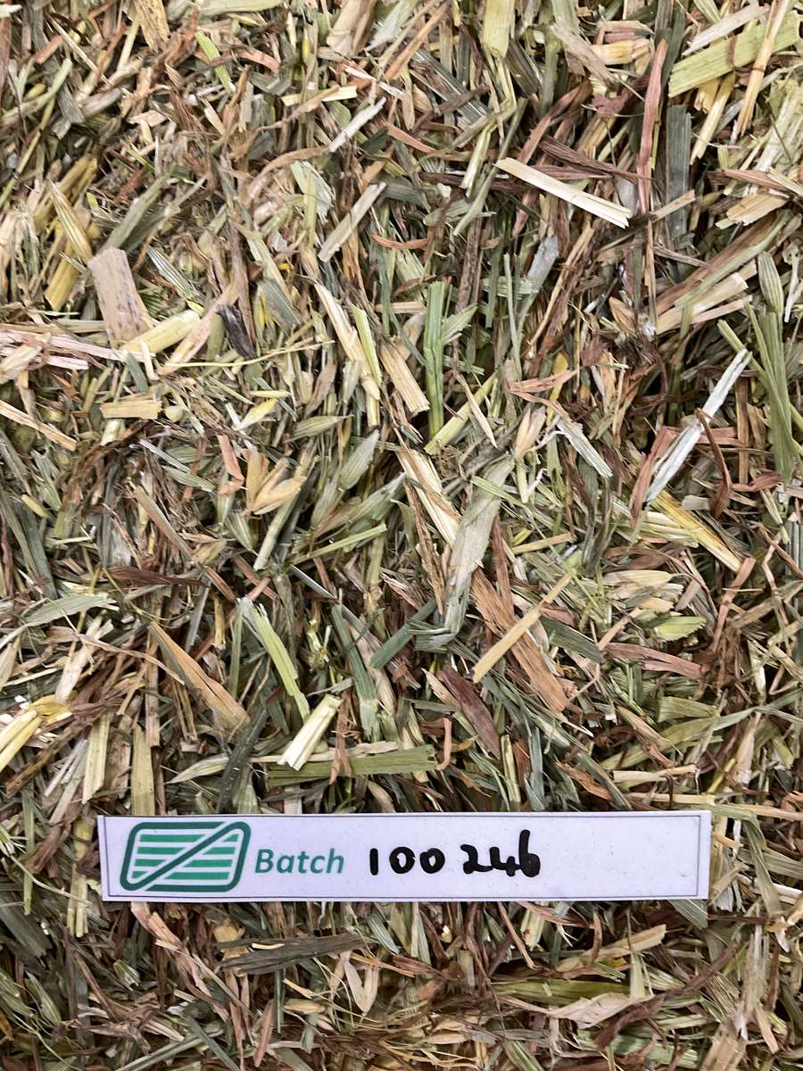 Batch 4990788000227499001 Image