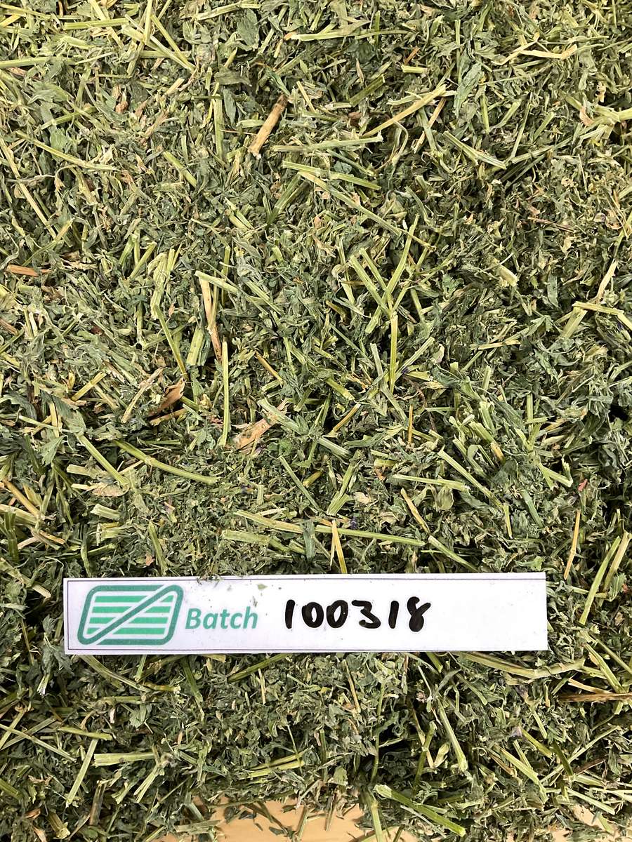Batch 4990788000229668001 Image
