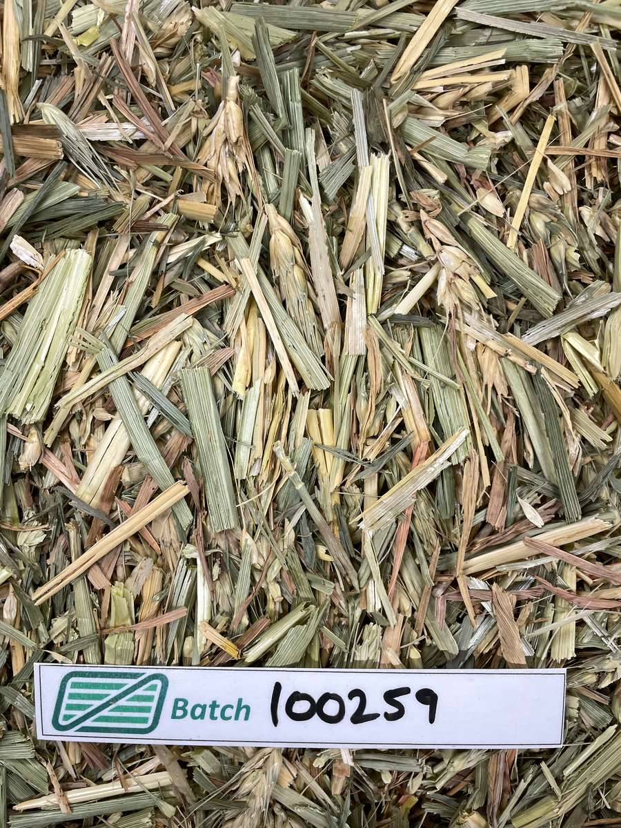 Batch 4990788000227744001 Image
