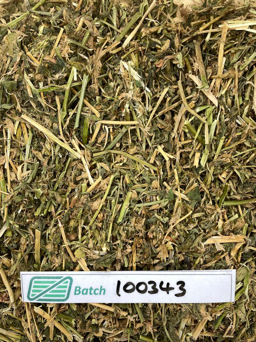 Batch 4990788000230534001 Image