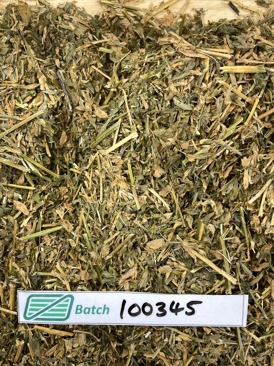 Batch 4990788000230543001 Image