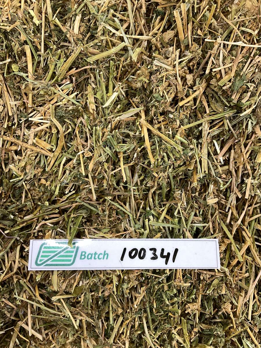 Batch 4990788000230520001 Image