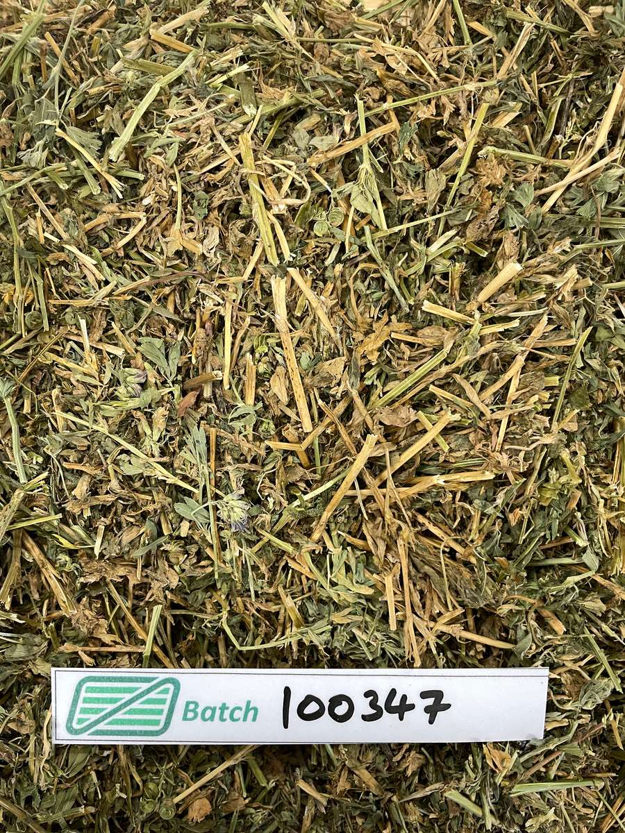 Batch 4990788000230491020 Image
