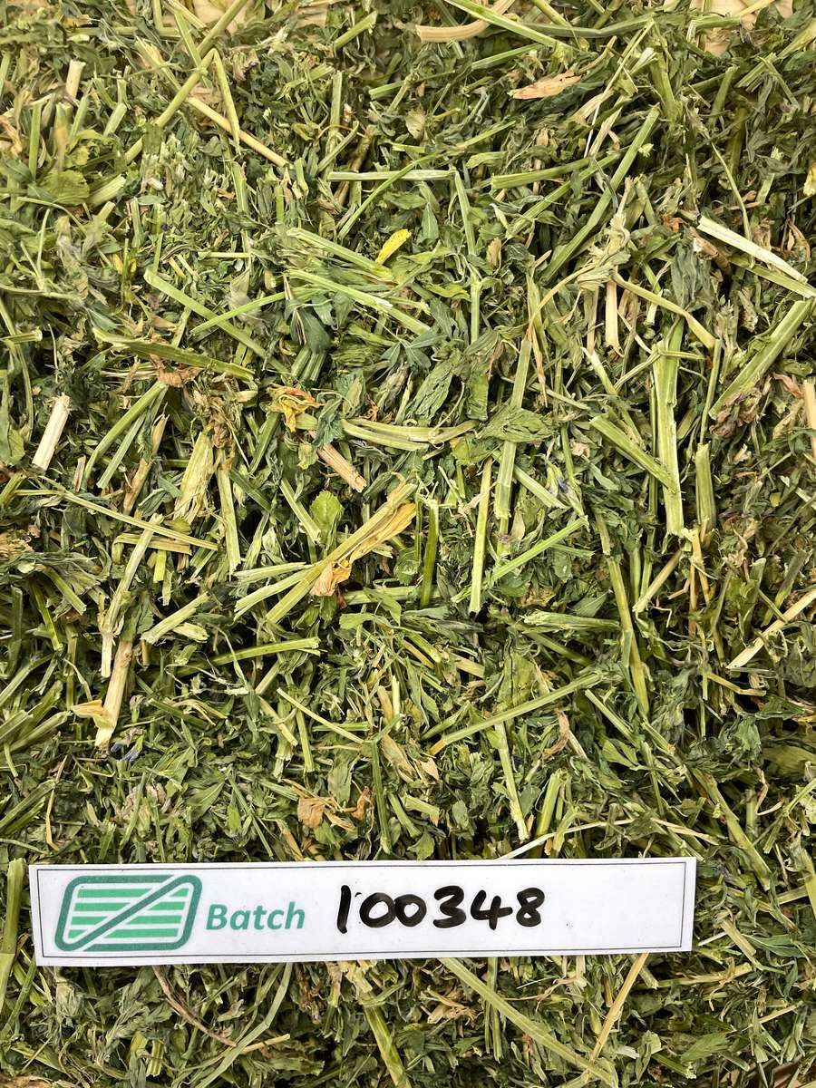 Batch 4990788000230497044 Image