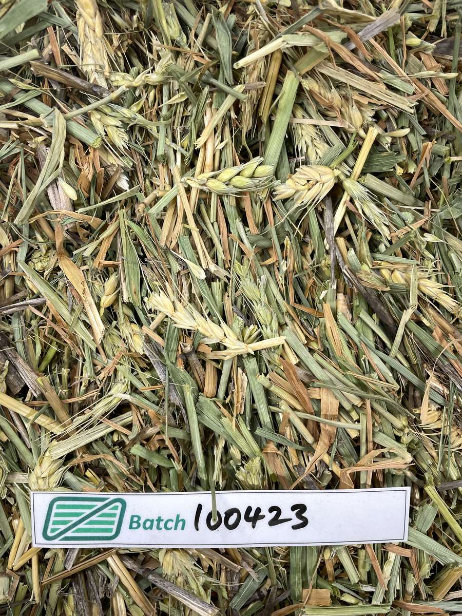 Batch 4990788000235524002 Image