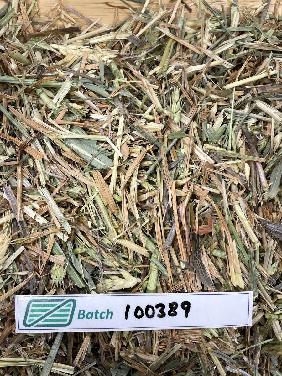 Batch 4990788000234203003 Image
