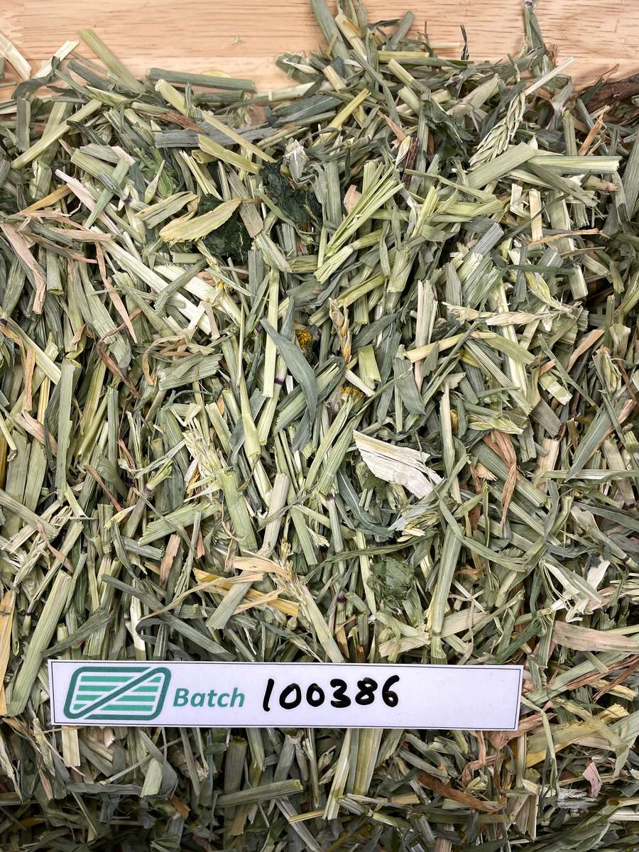 Batch 4990788000234202001 Image
