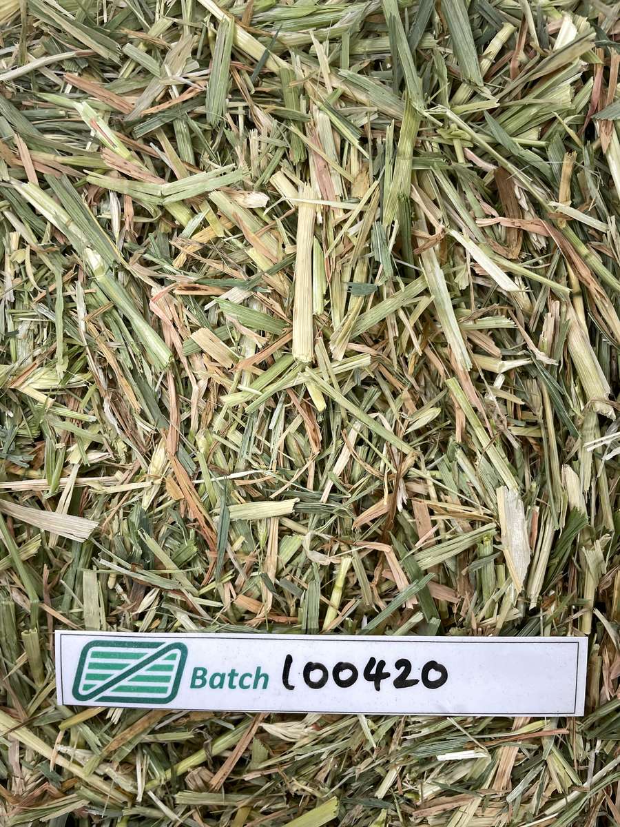 Batch 4990788000235506001 Image