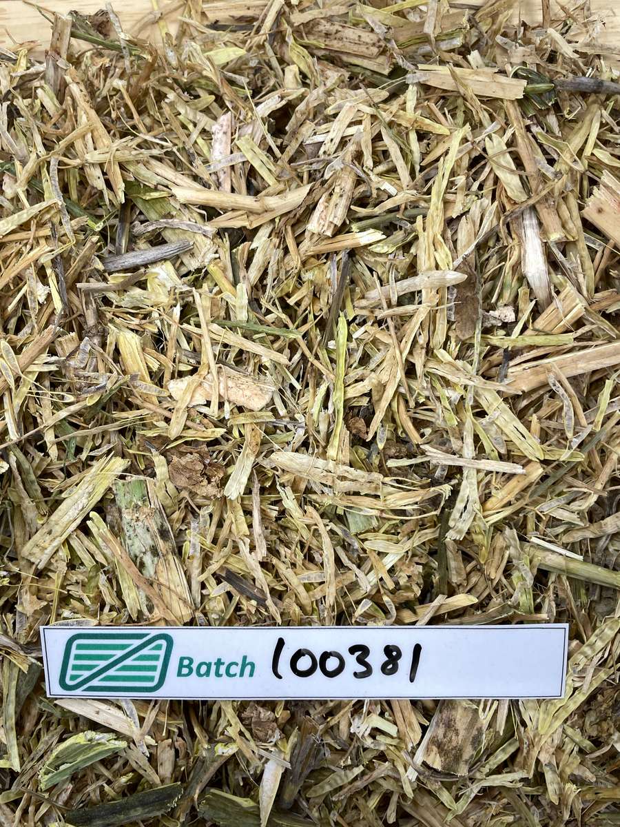 Batch 4990788000233732003 Image