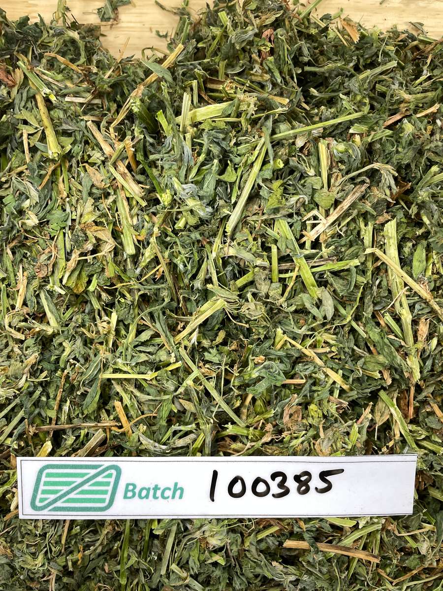 Batch 4990788000234194001 Image