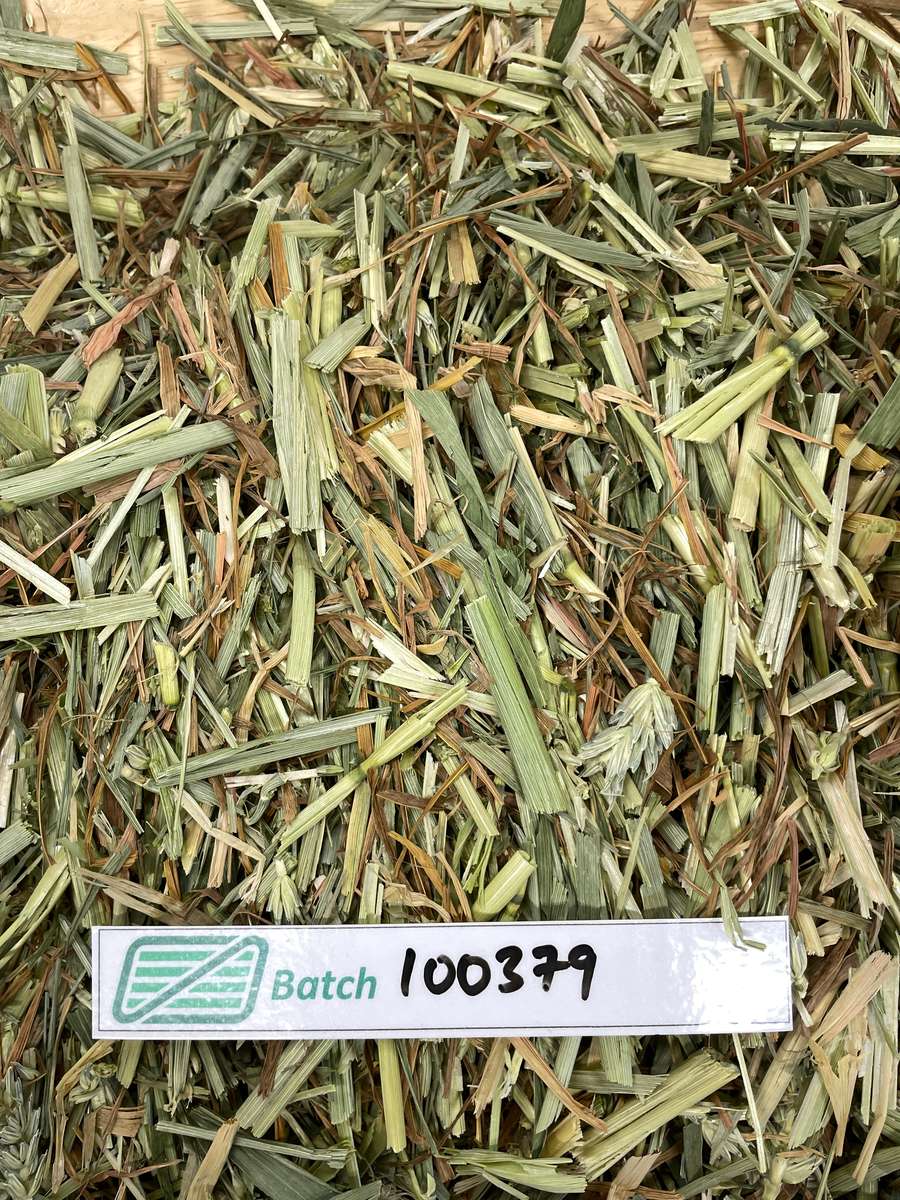Batch 4990788000233718002 Image