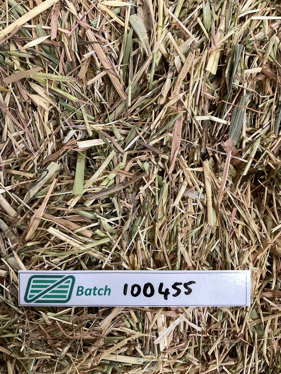 Batch 4990788000238244011 Image