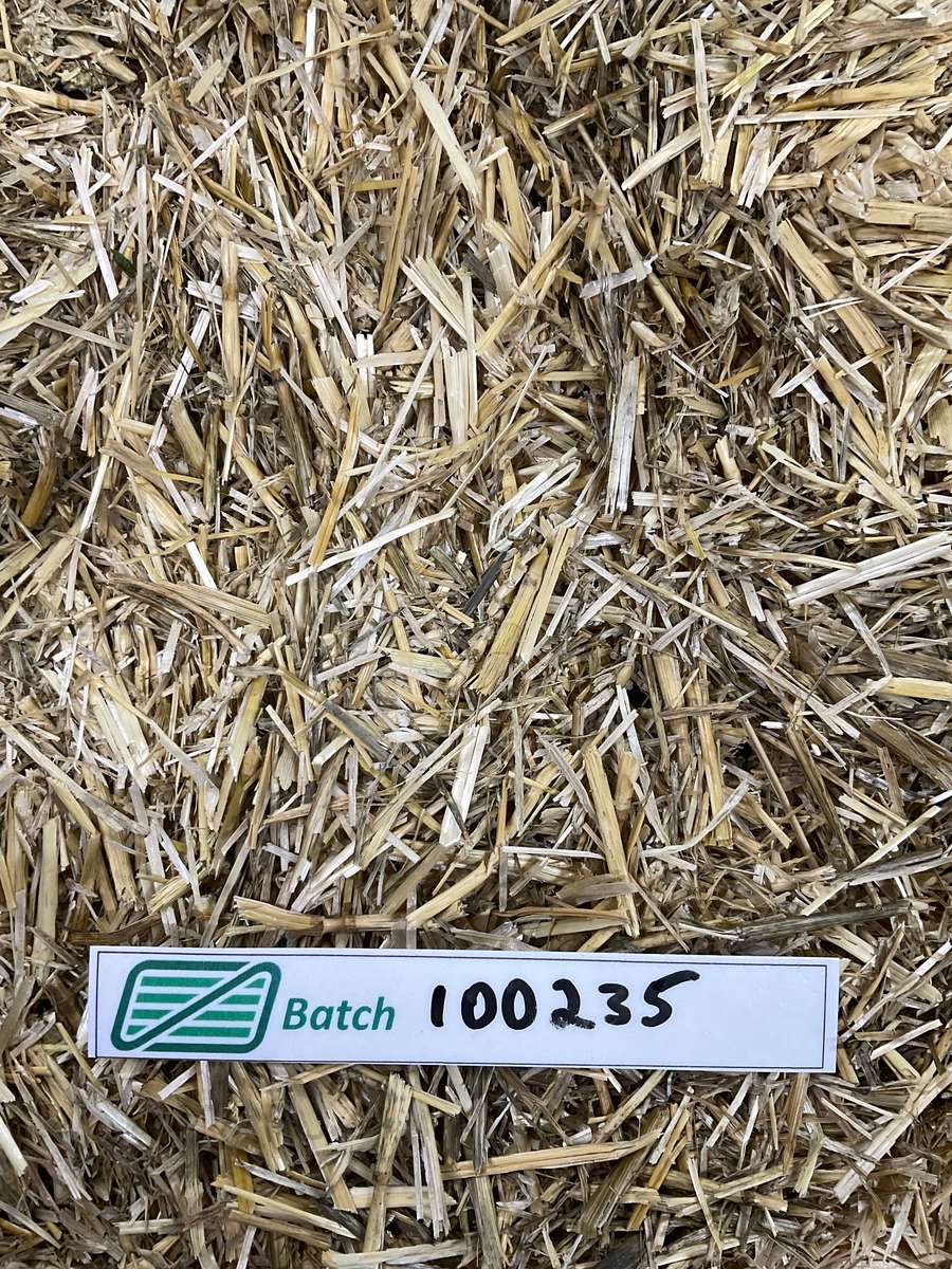 Batch 4990788000226331001 Image