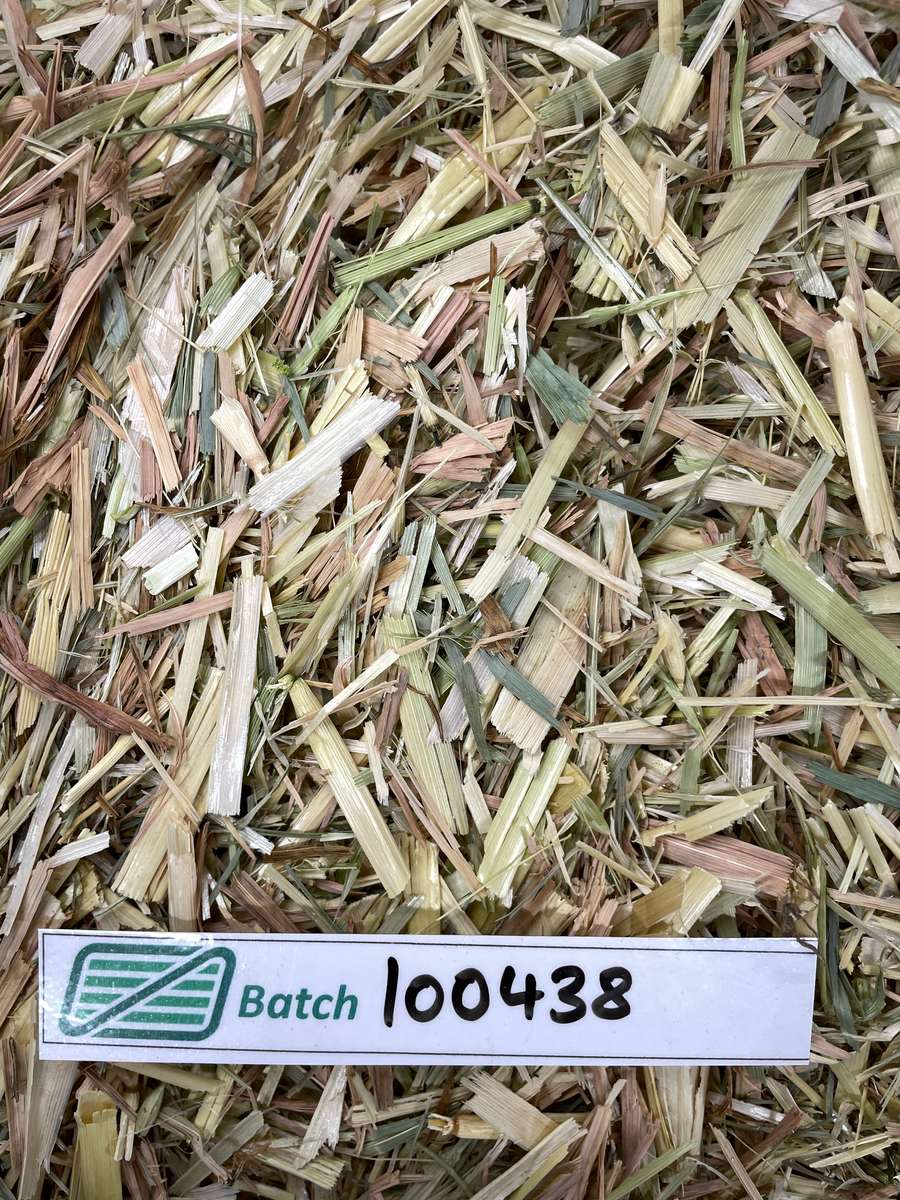 Batch 4990788000236852001 Image