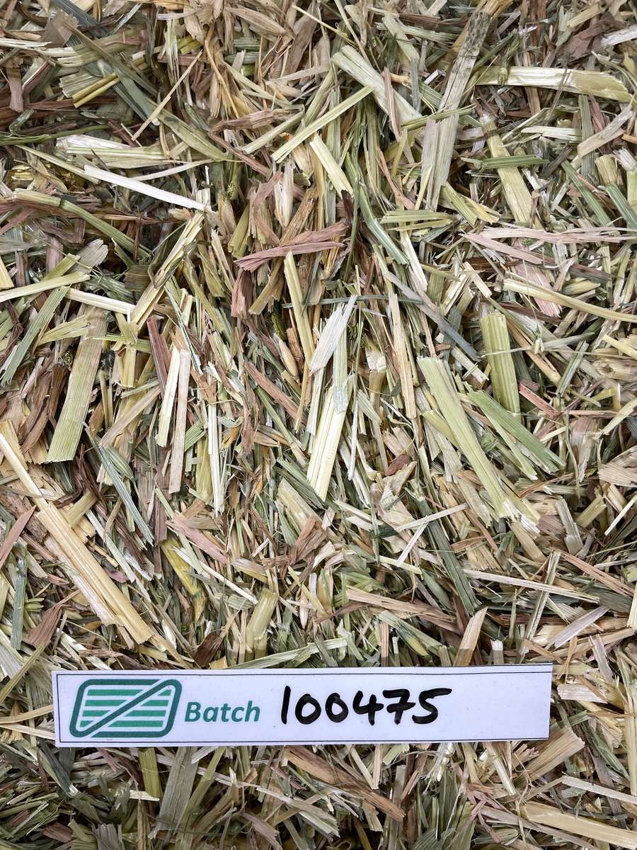 Batch 4990788000238475012 Image