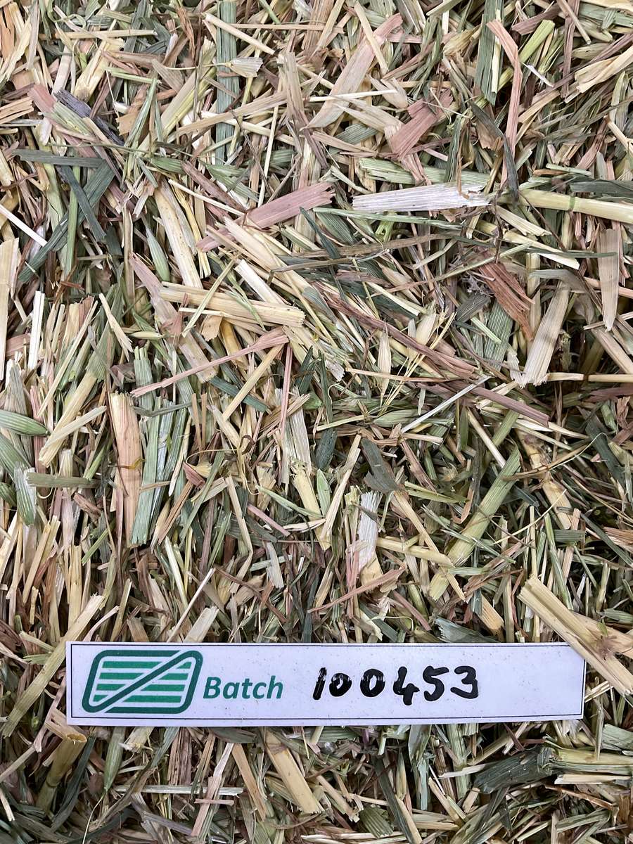 Batch 4990788000238243001 Image