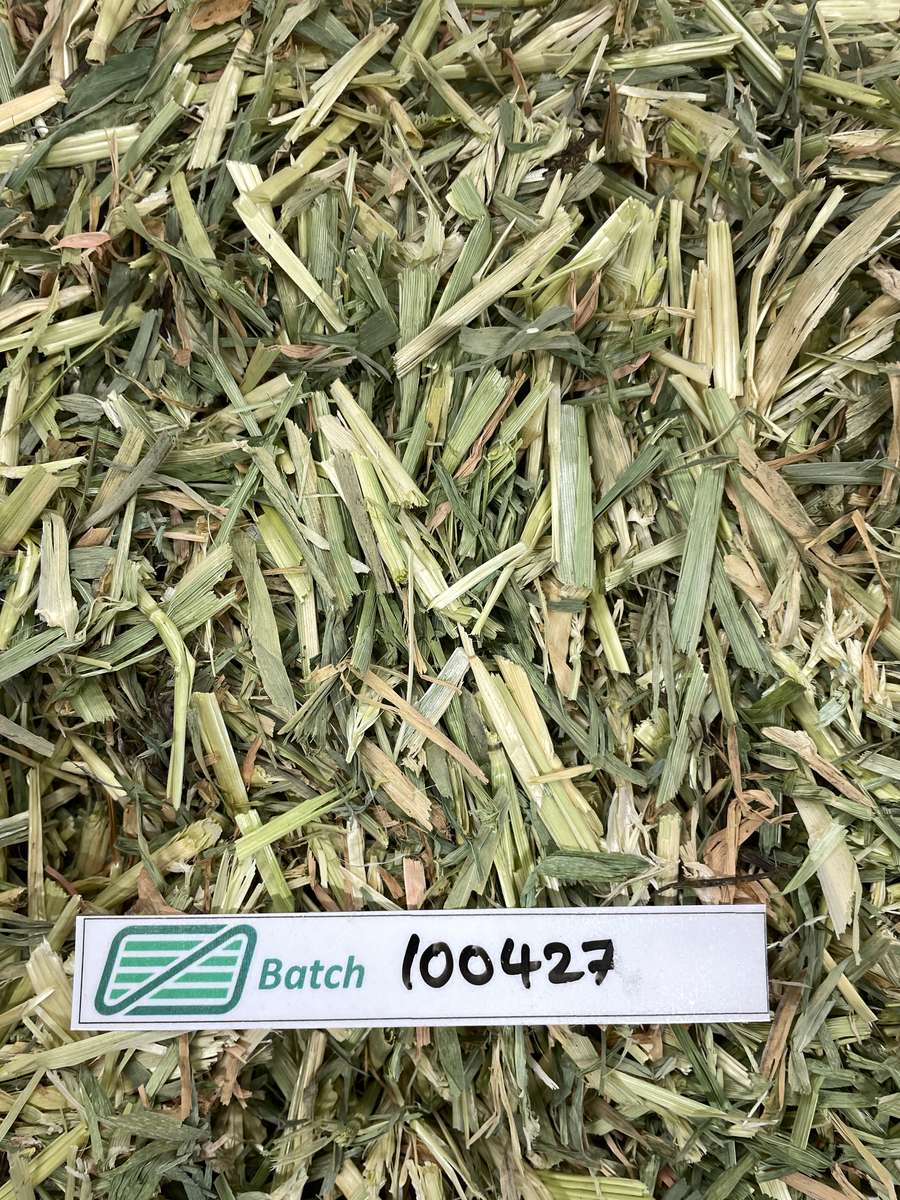 Batch 4990788000236377001 Image