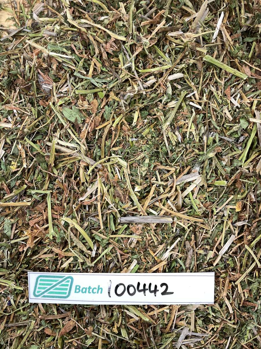 Batch 4990788000237110001 Image