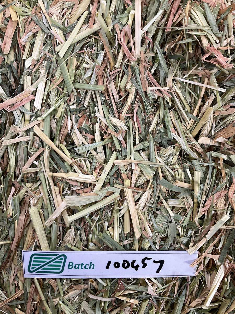 Batch 4990788000238273001 Image