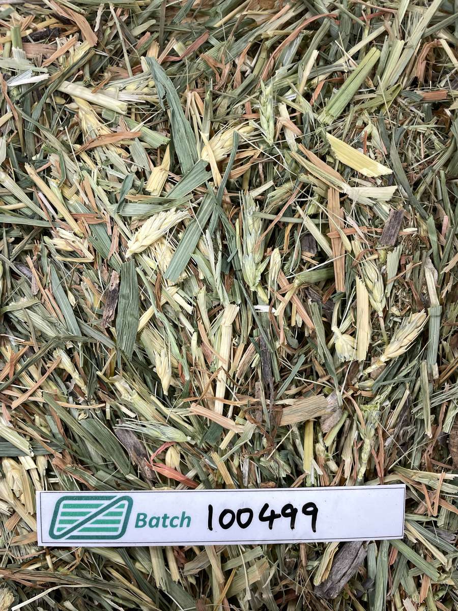 Batch 4990788000239300001 Image