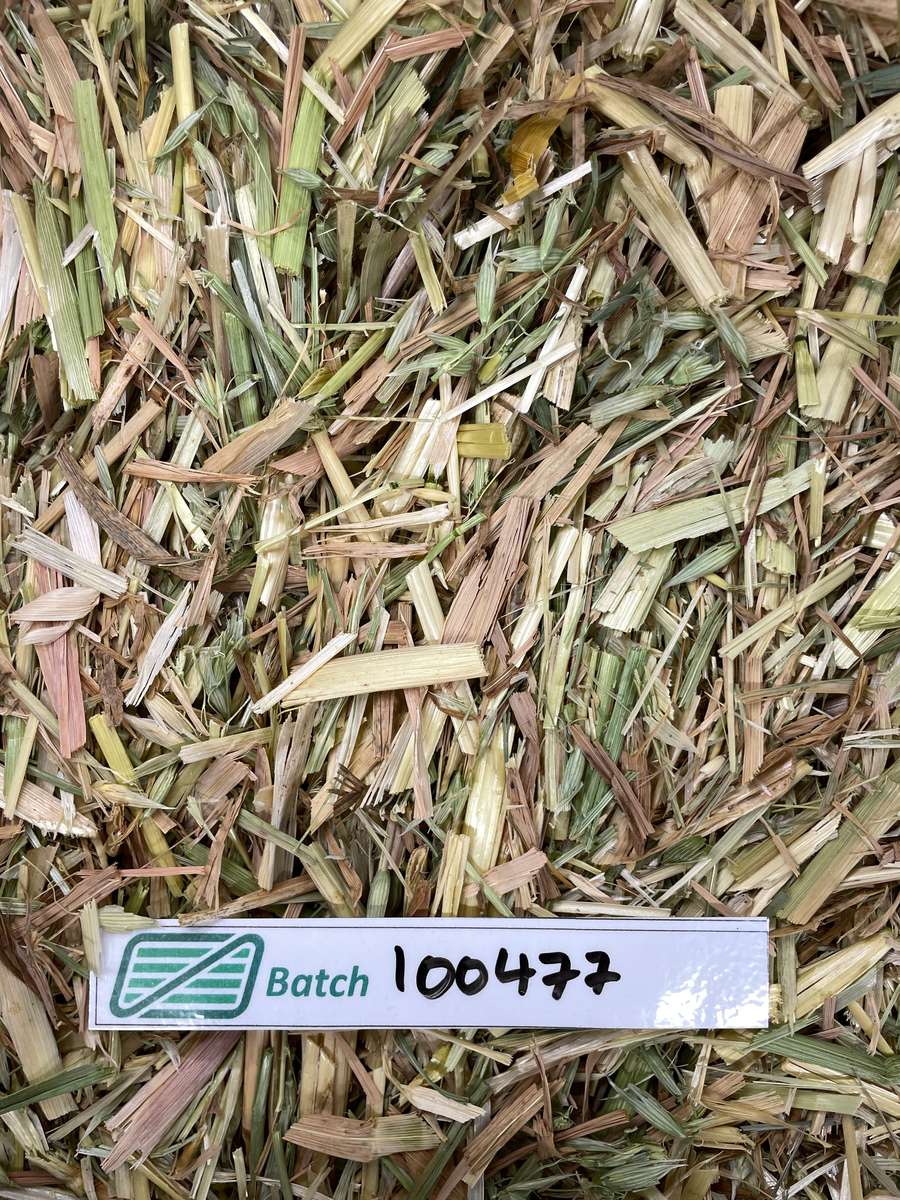 Batch 4990788000238581015 Image