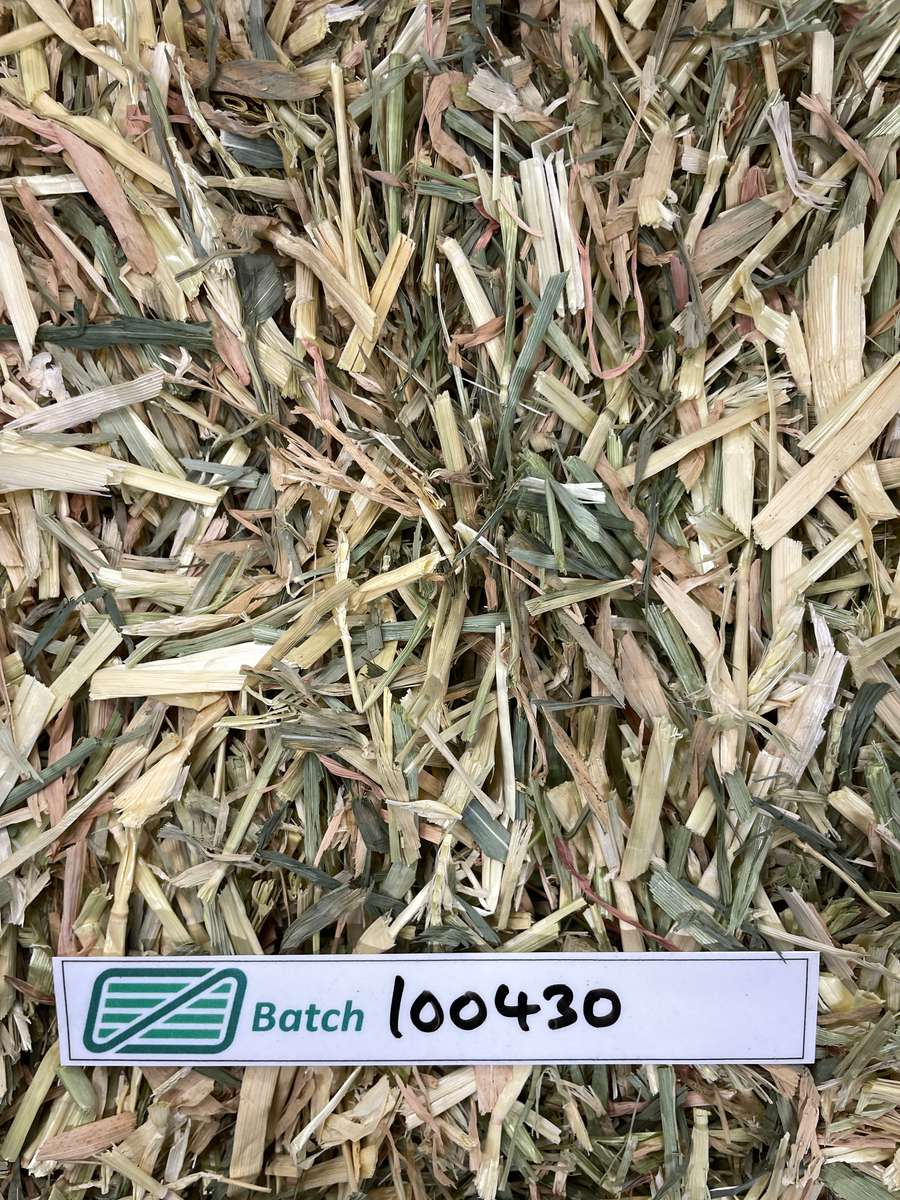 Batch 4990788000236501001 Image