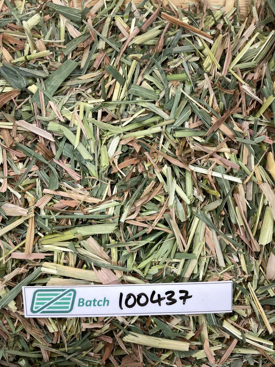 Batch 4990788000236835001 Image