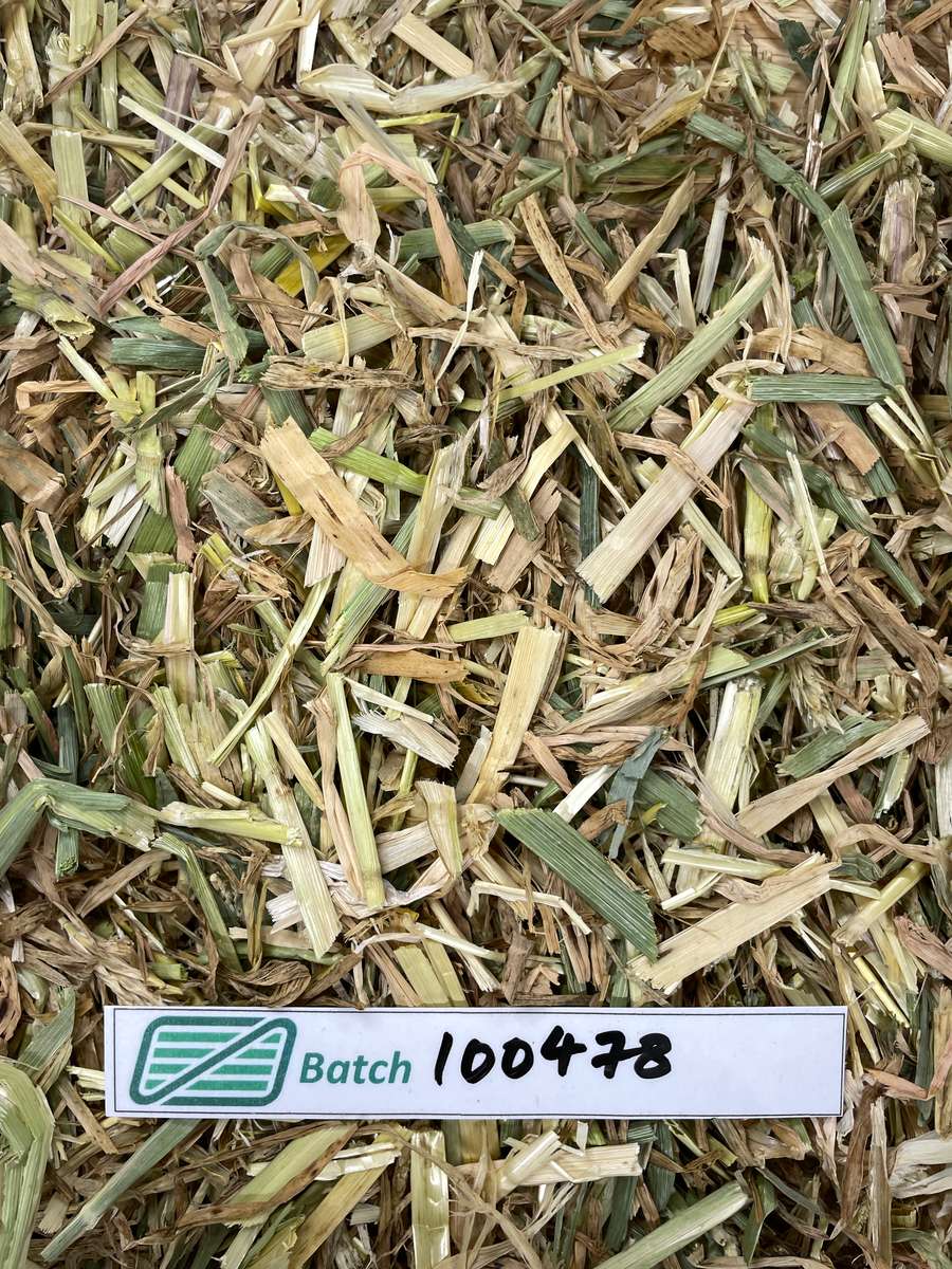 Batch 4990788000238641001 Image