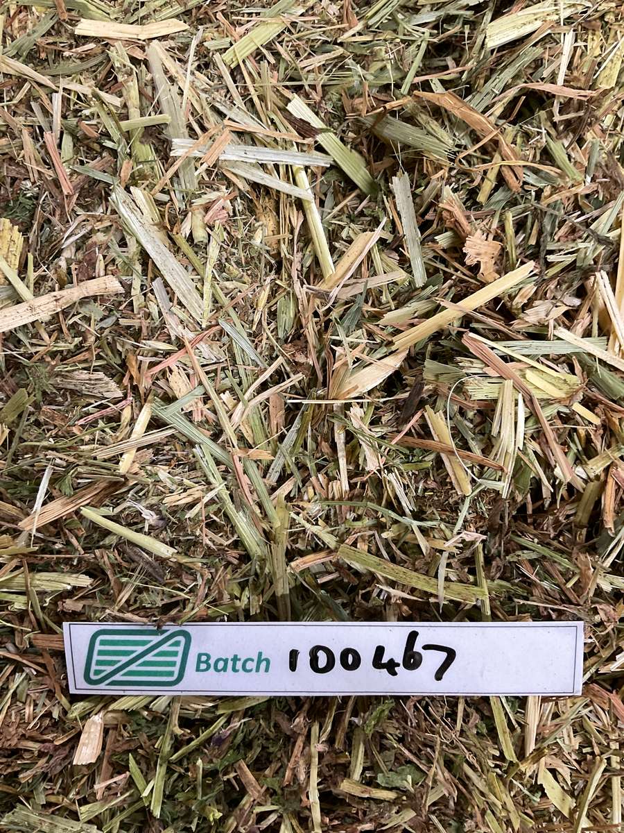Batch 4990788000238453001 Image