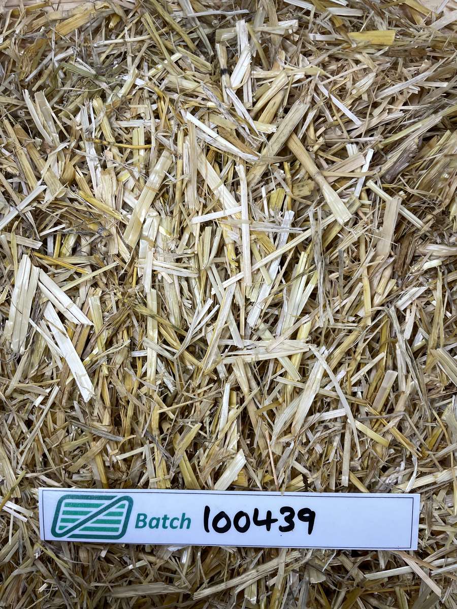 Batch 4990788000237030001 Image