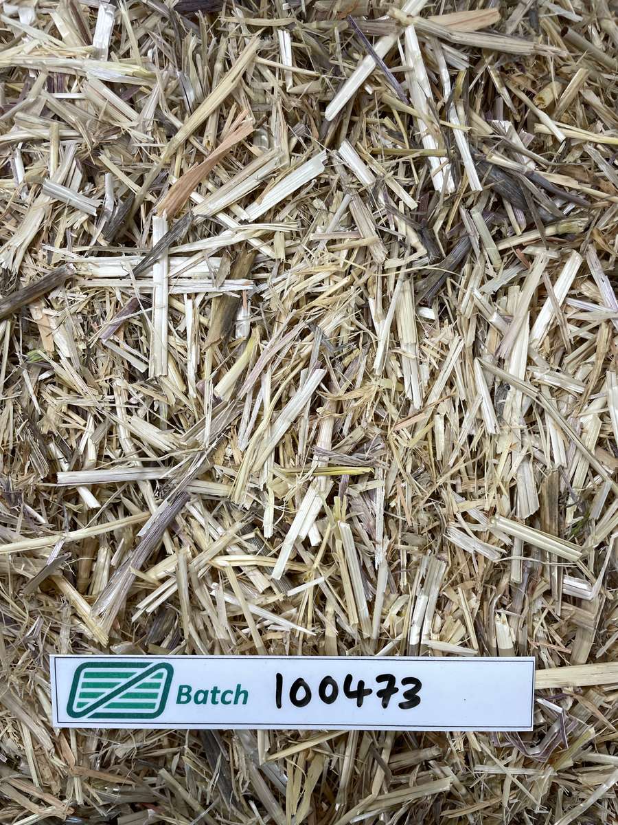 Batch 4990788000238542002 Image