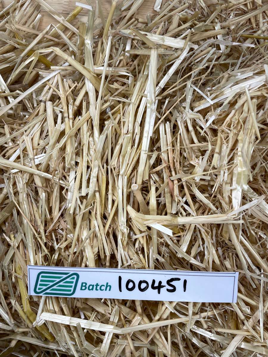 Batch 4990788000237518003 Image