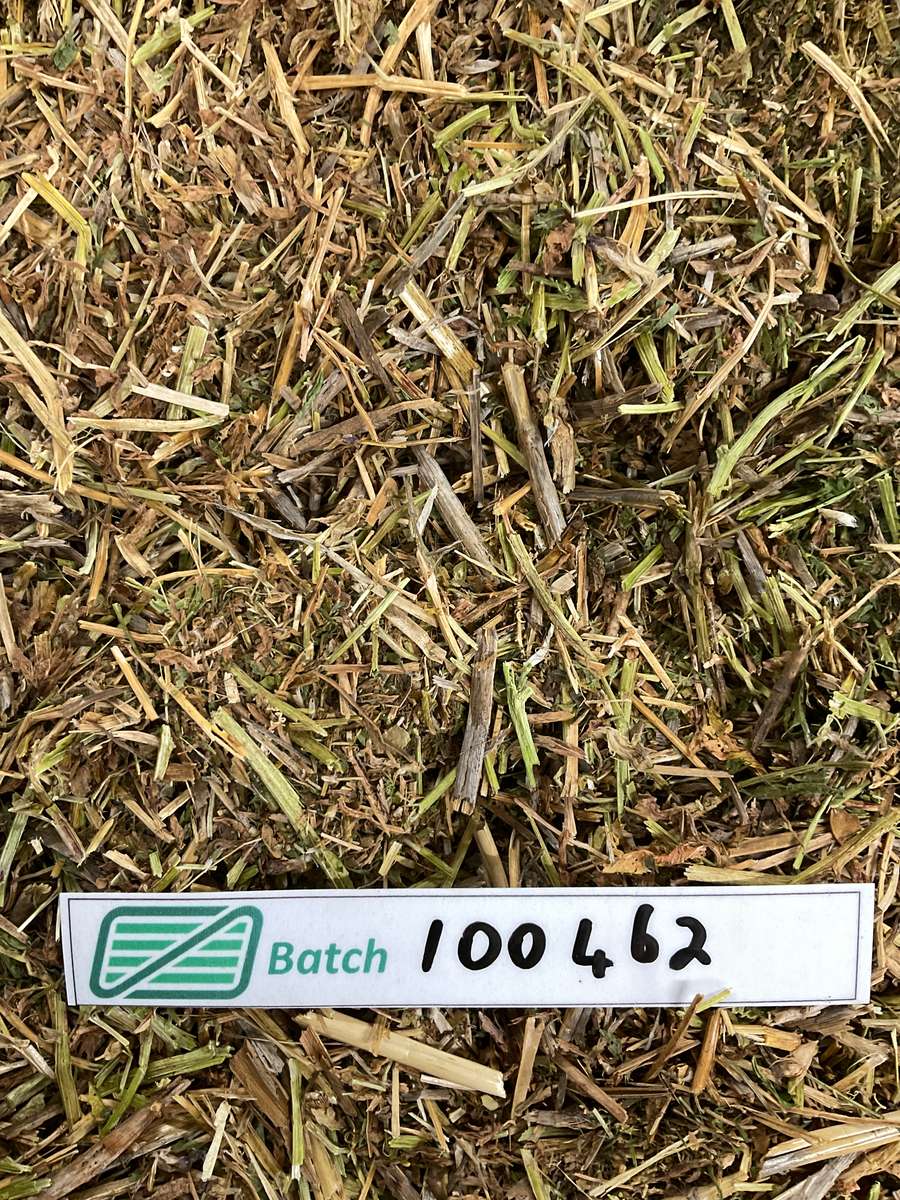 Batch 4990788000238418015 Image
