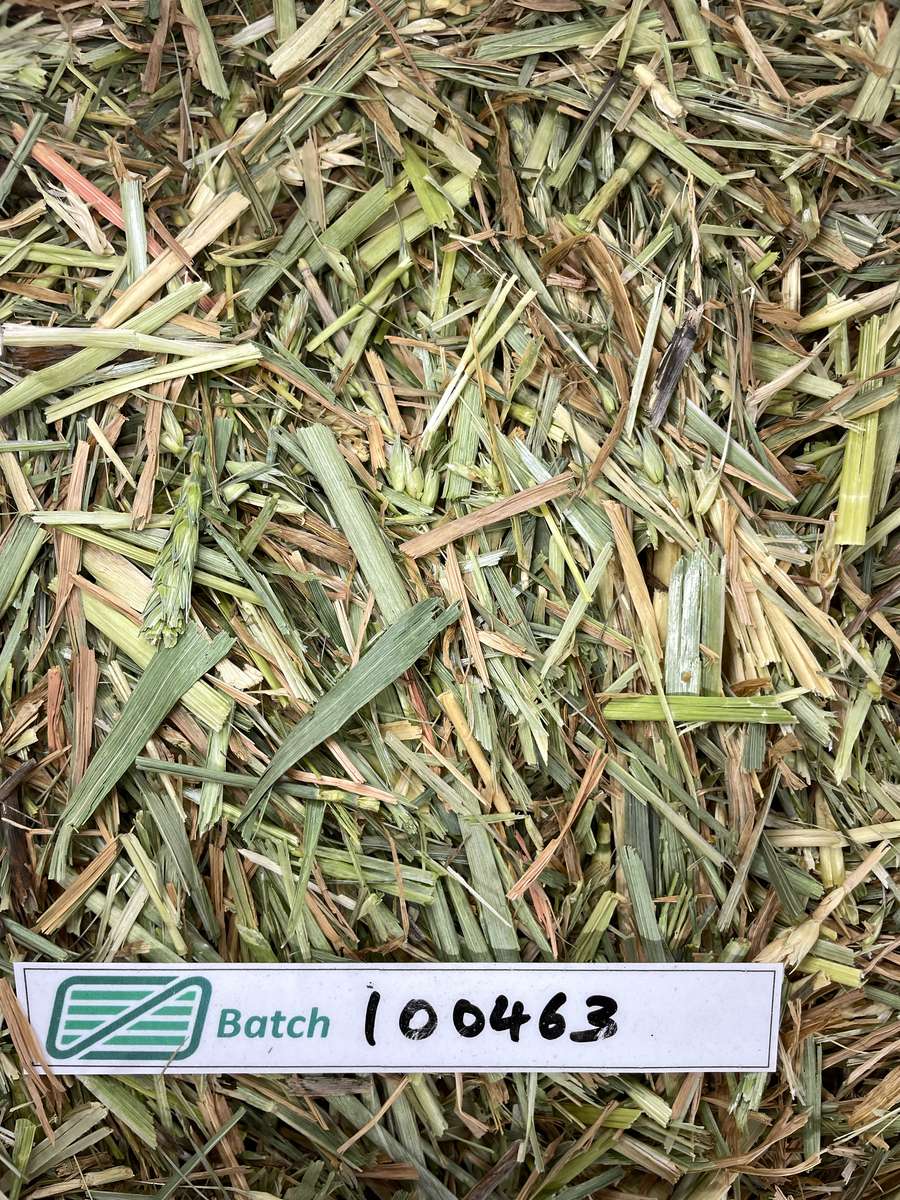 Batch 4990788000238406015 Image