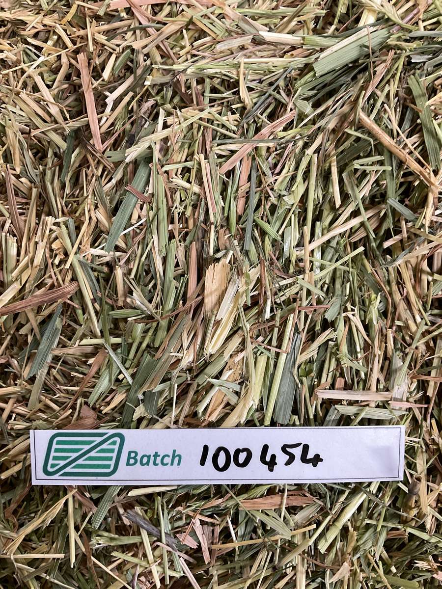 Batch 4990788000238248001 Image
