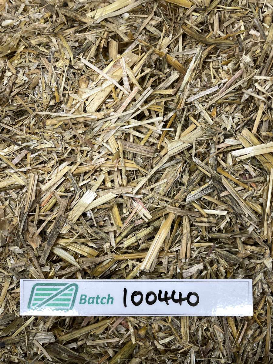 Batch 4990788000237034001 Image