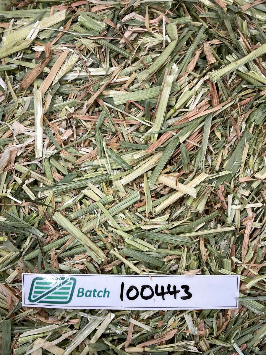 Batch 4990788000237119008 Image