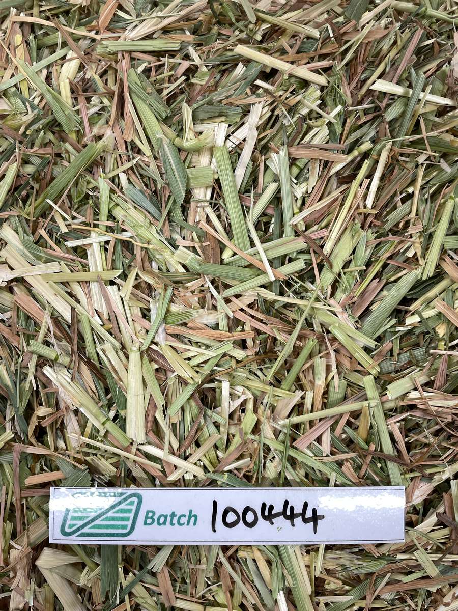 Batch 4990788000237097011 Image